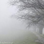 Powiększ zdjęcie Ostrzeżenie - Gęsta mgła