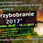 Przejdź do - Konkurs "Grzybobranie 2017"