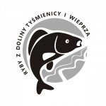 Powiększ zdjęcie Logo ryby z doliny Tyśmienicy i Wieprza