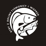 Powiększ zdjęcie Logo ryby z doliny Tyśmienicy i Wieprza