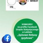 Przejdź do - Konkurs „Spisowe rebusy językowe” na profilu Urzędu Statystycznego w Lublinie na Facebooku