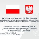 Przejdź do - Przebudowa drogi gminnej nr 103334L w miejscowości Ostrówek