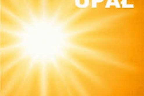 Wraz ze wzrostem temperatur znacząco wzrasta ryzyko odwodnienia oraz przegrzania organizmu. Upał ...