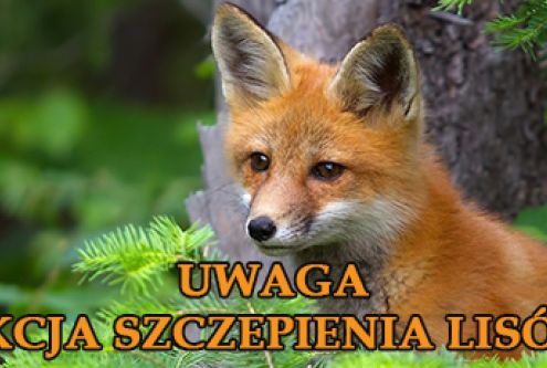 Informuję, że w dniach 16 — 19 kwietnia 2026 r.* na terenie województwa lubelskiego planowane jes...