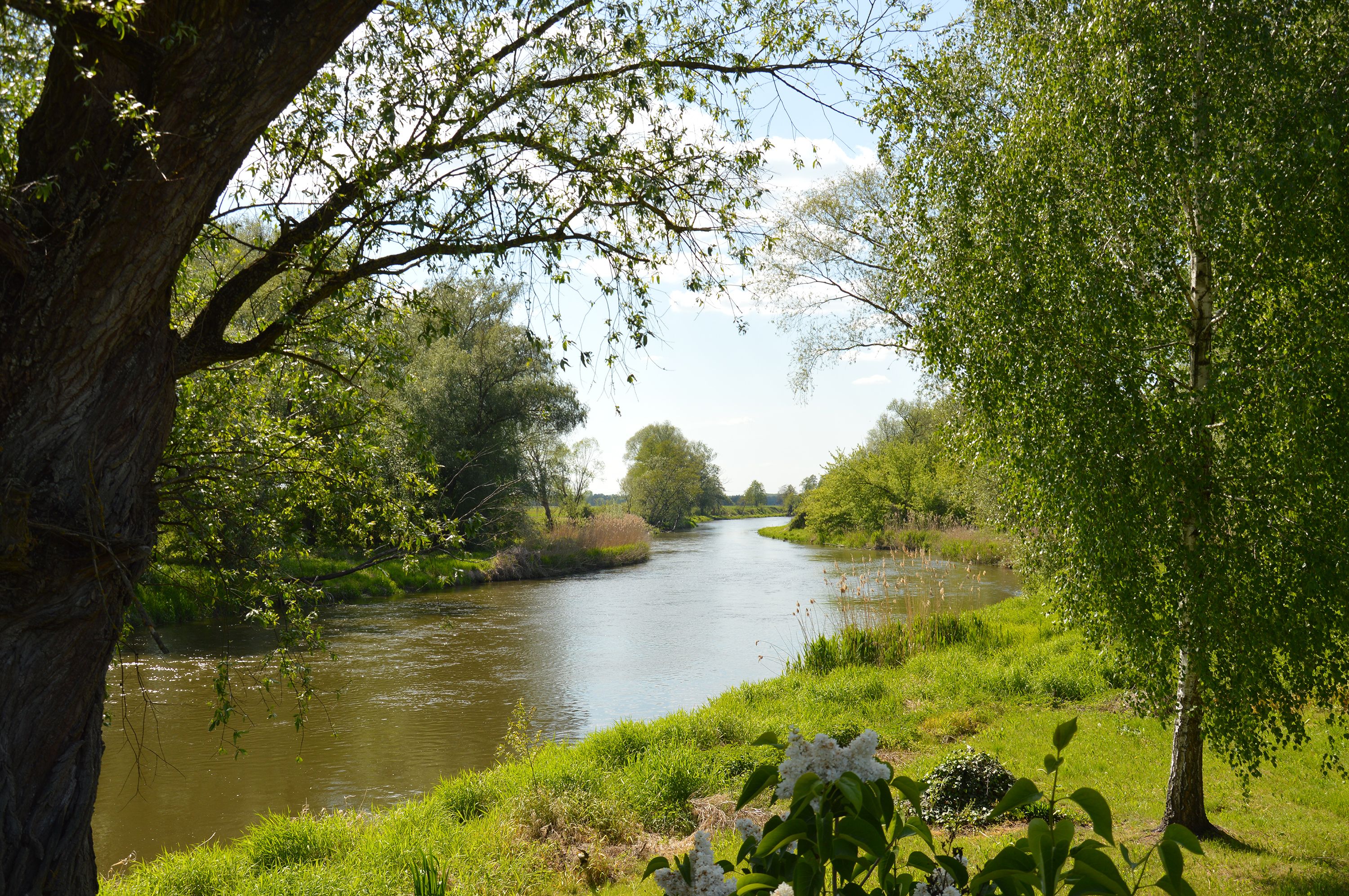 Ostrówek
