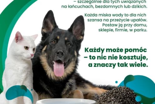 Szanowni Państwo, wysokie temperatury stanowią poważne zagrożenie dla zdrowia i życia zwierząt. D...