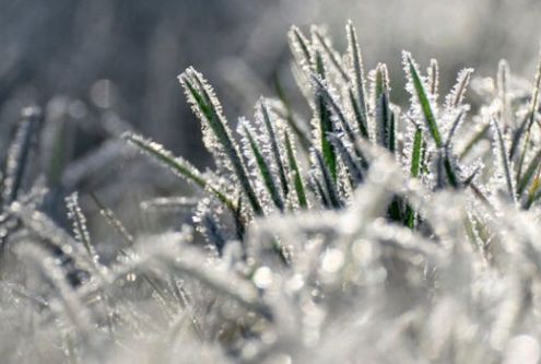 W związku z wystąpieniem na terenie Gminy Ostrówek niekorzystnego zjawiska atmosferycznego – przy...